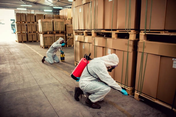 Best Rat Extermination Near Me  in Springs, NY