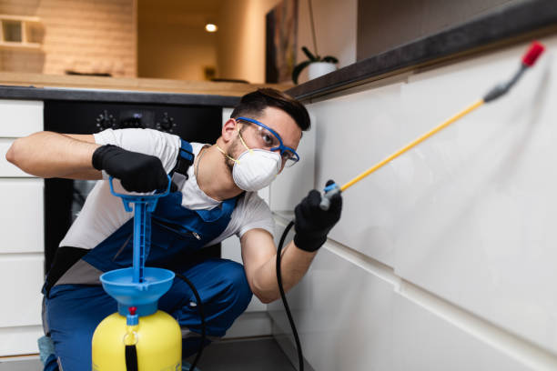 Best Cockroach Control Services  in Springs, NY