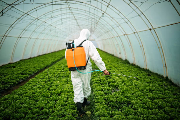 Best Pest Prevention Services  in Springs, NY