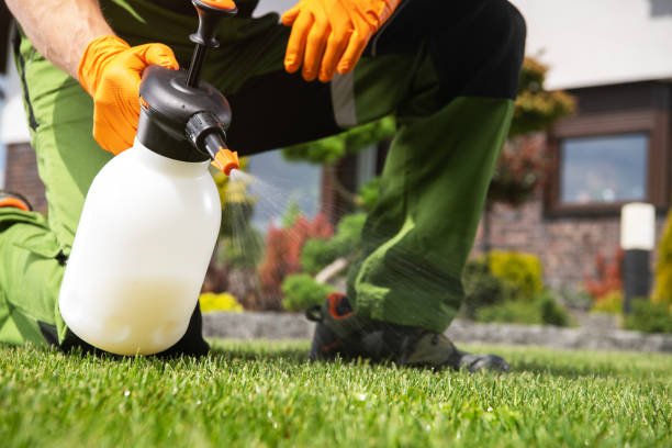 Best Bed Bug Extermination  in Springs, NY