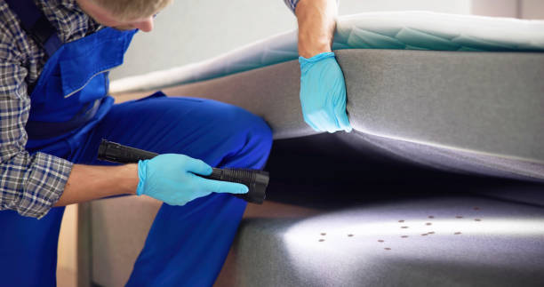 Best Pest Prevention Services  in Springs, NY