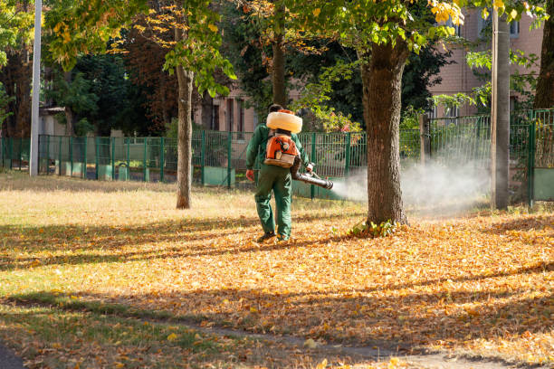 Best Rodent Control Near Me  in Springs, NY