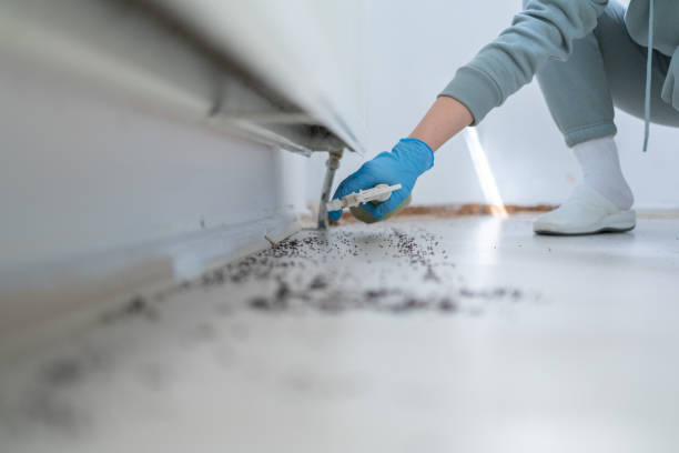 Best Commercial Pest Control Services  in Springs, NY