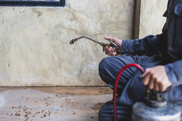Best Best Pest Control Companies  in Springs, NY