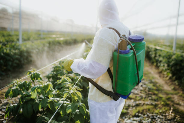 Best Affordable Pest Control Services  in Springs, NY